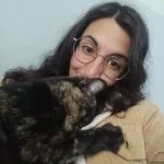 Yuna Mon Chat  Européen Femelle - Garde d'animaux à domicile