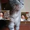 Images de profil de Coralie - Blooming Pets - Petsitting et garde d'animaux à domicile