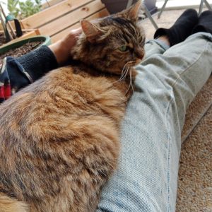 Images de profil de Coralie - Blooming Pets - Petsitting et garde d'animaux à domicile