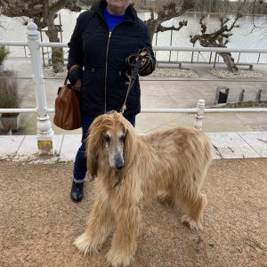 Images de profil de Corinne - Blooming Pets - Petsitting et garde d'animaux à domicile