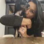 Gucci Mon Chien  Chihuahua Mâle stérilisé - Garde d'animaux à domicile