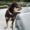 Images de profil de nathalie - Blooming Pets - Petsitting et garde d'animaux à domicile