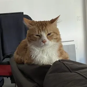 Images de profil de STEPHANIE - Blooming Pets - Petsitting et garde d'animaux à domicile