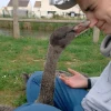 Images de profil de Chloé - Blooming Pets - Petsitting et garde d'animaux à domicile
