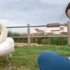 Images de profil de Chloé - Blooming Pets - Petsitting et garde d'animaux à domicile