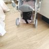 Images de profil de Cynthia - Blooming Pets - Petsitting et garde d'animaux à domicile
