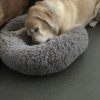 Images de profil de Daniel - Blooming Pets - Petsitting et garde d'animaux à domicile
