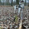 Images de profil de Daniel - Blooming Pets - Petsitting et garde d'animaux à domicile