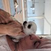 Images de profil de Dany - Blooming Pets - Petsitting et garde d'animaux à domicile