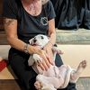 Images de profil de Dany - Blooming Pets - Petsitting et garde d'animaux à domicile