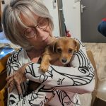Image de profil de Dany - Blooming Pets - Petsitting et garde d'animaux à domicile