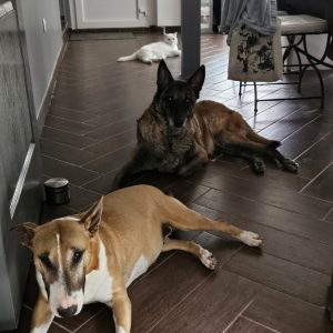 Images de profil de Elodie - Blooming Pets - Petsitting et garde d'animaux à domicile