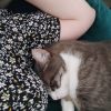 Images de profil de Déborah - Blooming Pets - Petsitting et garde d'animaux à domicile