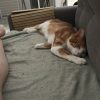 Images de profil de Delphine - Blooming Pets - Petsitting et garde d'animaux à domicile