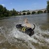 Images de profil de Delphine - Blooming Pets - Petsitting et garde d'animaux à domicile