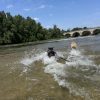 Images de profil de Delphine - Blooming Pets - Petsitting et garde d'animaux à domicile