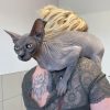Images de profil de MEREDITH - Blooming Pets - Petsitting et garde d'animaux à domicile