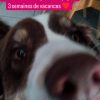 Images de profil de Morgane - Blooming Pets - Petsitting et garde d'animaux à domicile