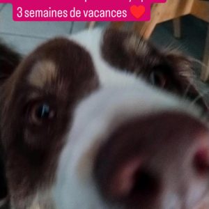 Images de profil de Morgane - Blooming Pets - Petsitting et garde d'animaux à domicile