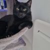 Images de profil de Dorian - Blooming Pets - Petsitting et garde d'animaux à domicile