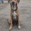 Images de profil de Doriane - Blooming Pets - Petsitting et garde d'animaux à domicile