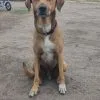 Images de profil de Doriane - Blooming Pets - Petsitting et garde d'animaux à domicile