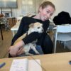 Images de profil de Doriane - Blooming Pets - Petsitting et garde d'animaux à domicile