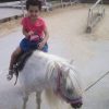 Images de profil de Moez - Blooming Pets - Petsitting et garde d'animaux à domicile
