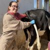 Images de profil de Elisa - Blooming Pets - Petsitting et garde d'animaux à domicile
