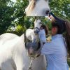 Images de profil de Elise - Blooming Pets - Petsitting et garde d'animaux à domicile