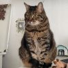 Images de profil de Eloïde - Blooming Pets - Petsitting et garde d'animaux à domicile