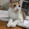 Images de profil de Eloïde - Blooming Pets - Petsitting et garde d'animaux à domicile
