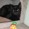Images de profil de Eloïde - Blooming Pets - Petsitting et garde d'animaux à domicile