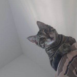 Images de profil de Elvyra - Blooming Pets - Petsitting et garde d'animaux Ă domicile