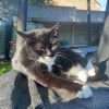 Images de profil de Ely - Blooming Pets - Petsitting et garde d'animaux à domicile