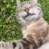 Images de profil de Ely - Blooming Pets - Petsitting et garde d'animaux à domicile