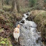 Image de profil de Emilie - Blooming Pets - Petsitting et garde d'animaux à domicile