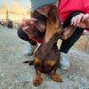 Images de profil de Emma - Blooming Pets - Petsitting et garde d'animaux à domicile