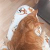 Images de profil de Emmie-Kenza - Blooming Pets - Petsitting et garde d'animaux à domicile