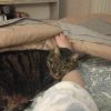 Images de profil de Emmie-Kenza - Blooming Pets - Petsitting et garde d'animaux à domicile
