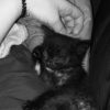 Images de profil de Enoha - Blooming Pets - Petsitting et garde d'animaux à domicile