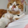 Images de profil de Enora - Blooming Pets - Petsitting et garde d'animaux à domicile