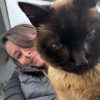 Images de profil de Estelle - Blooming Pets - Petsitting et garde d'animaux à domicile