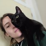 Uranos Mon Chat  Européen Mâle stérilisé - Garde d'animaux à domicile