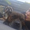 Images de profil de Fannie - Blooming Pets - Petsitting et garde d'animaux à domicile