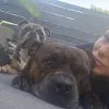Images de profil de Fannie - Blooming Pets - Petsitting et garde d'animaux à domicile