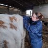 Images de profil de Flavie - Blooming Pets - Petsitting et garde d'animaux à domicile