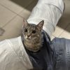 Images de profil de Flavie - Blooming Pets - Petsitting et garde d'animaux à domicile