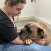Images de profil de Flavie - Blooming Pets - Petsitting et garde d'animaux à domicile