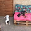 Images de profil de Florian - Blooming Pets - Petsitting et garde d'animaux à domicile